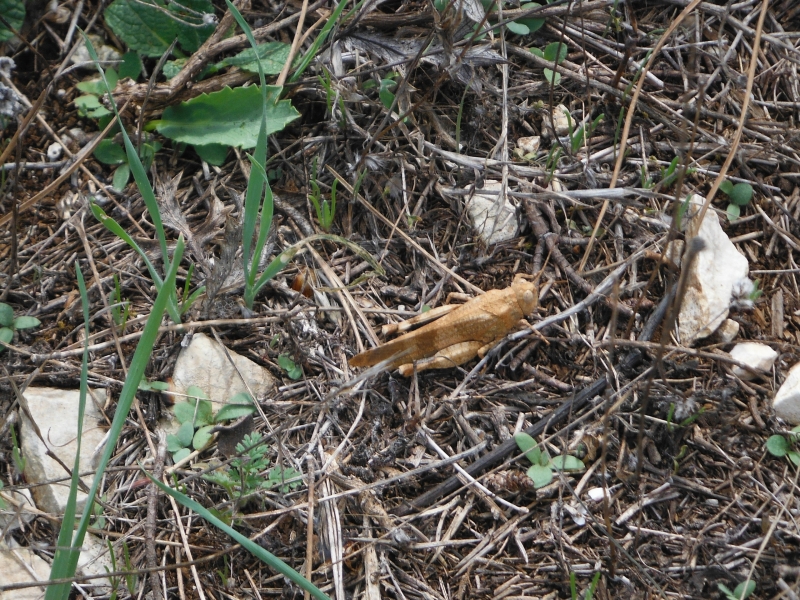 DSCF1315