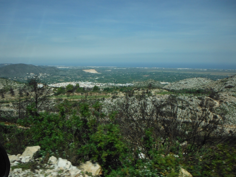 DSCF1355