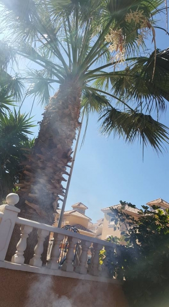 Фото в Испании от PermanentMakeup: соседы нас оберехають от соНЦа =))))