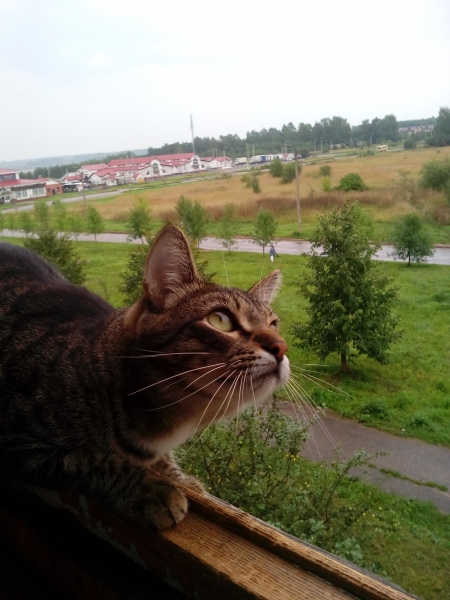 IMG 20160820 094524