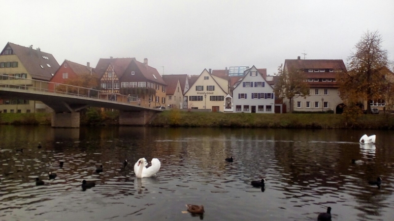 Rottenburg