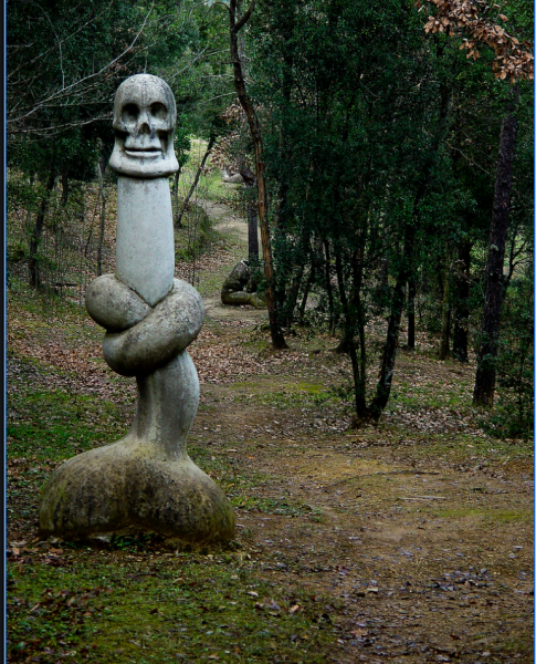 Bosque de Can Ginebreda 1