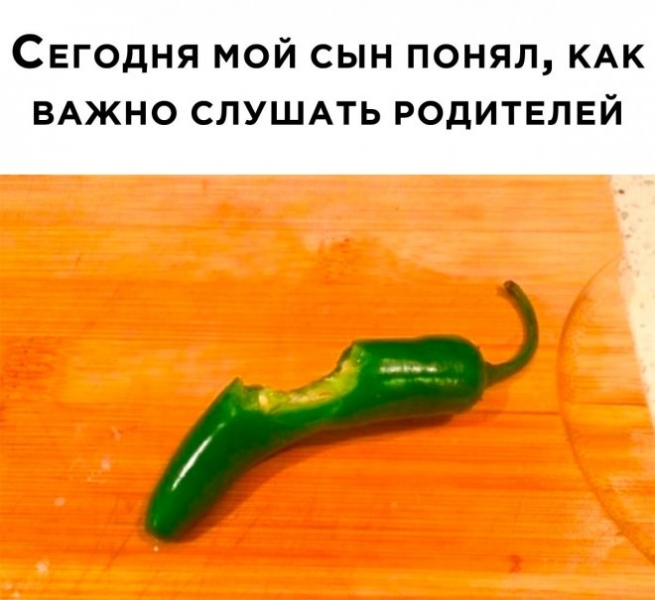 Сегодня мой сын понял как важно слушать родителей