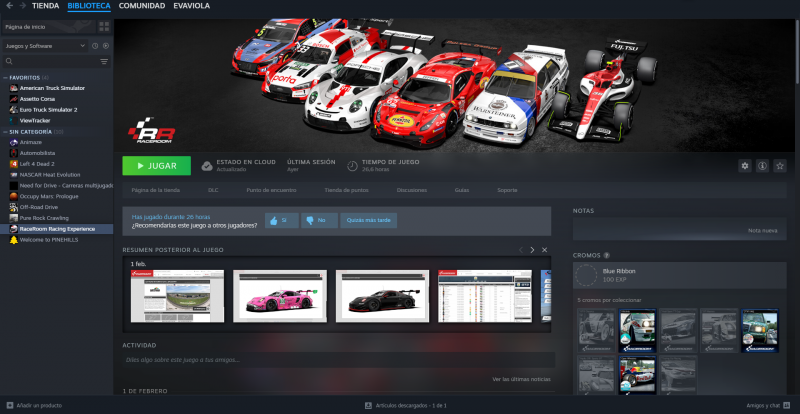 Race room steam