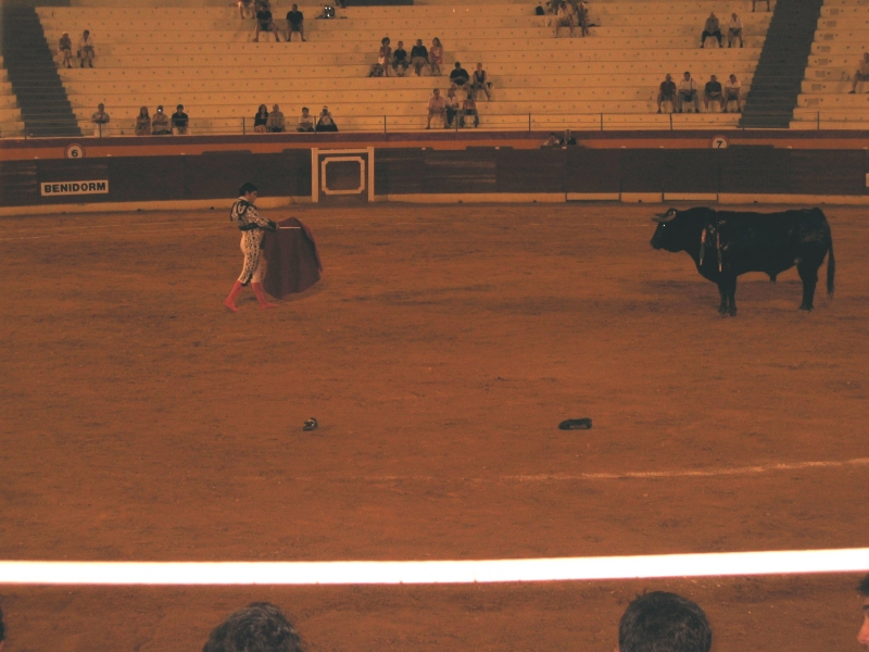 Фото Испании - Plaza de Toros del Benidorm