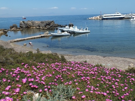 Испания остров Табарка