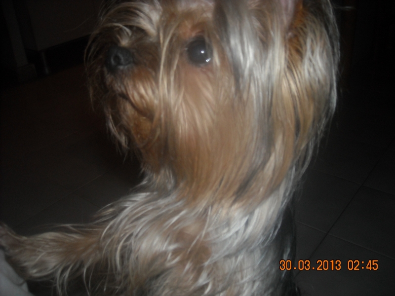 DSCN0005