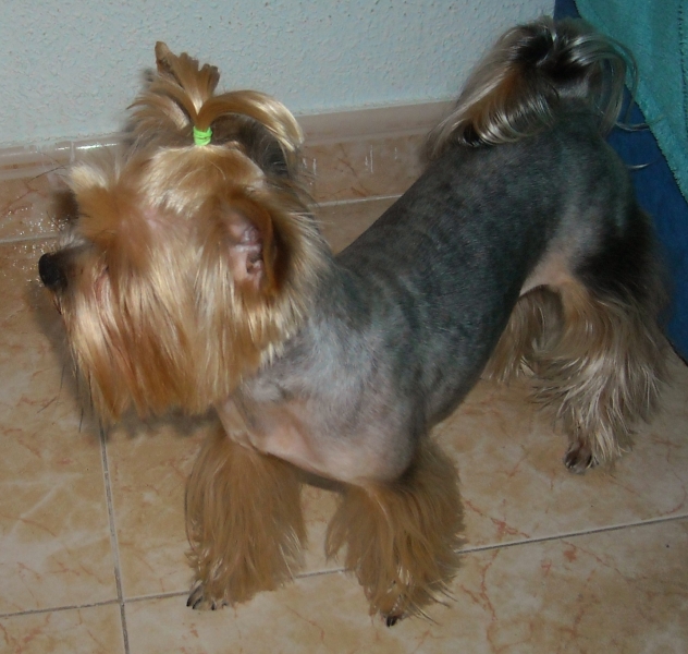 DSCN0005