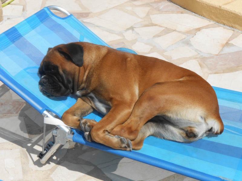 Do not disturb !