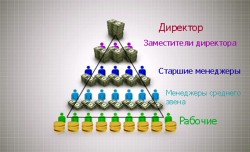 Схема организационной структуры с уровнями управления — CostaSpain.net Схема организационной структуры с уровнями управления