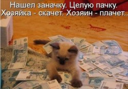 Котенок играет с деньгами на полу