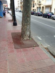 Пешеходная улица с деревом и припаркованными автомобилями
