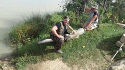 Два рыбака с крупной рыбой на берегу реки