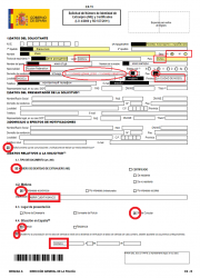 Форма заявки на получение идентификационного номера в Испании