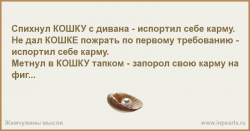 Текст с размышлениями о карме и кошках