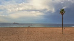 Пляж с пальмой и морем под облачным небом