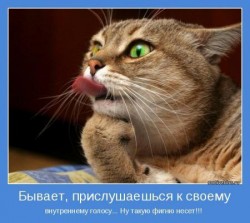 Кот с языком на губах, задумчиво смотрит в сторону — CostaSpain.net Кот с языком на губах, задумчиво смотрит в сторону