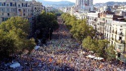 Массовый митинг на улице с деревьями и зданиями — CostaSpain.net Массовый митинг на улице с деревьями и зданиями