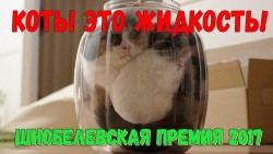 Кот в банке с надписью о жидкостях