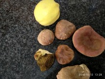 Лимон и несколько грибов на черной поверхности