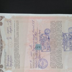 Ветеринарный сертификат с печатями и подписями