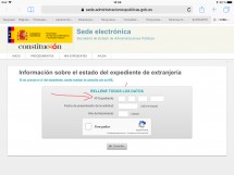 Форма для проверки статуса экспедита в Испании
