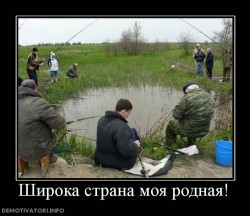 Группа людей рыбачит у небольшого пруда на природе