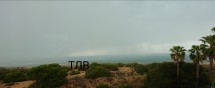 Морской пейзаж с дождевыми облаками и пальмами