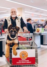 Собака в тележке супермаркета с улыбающимся мужчиной