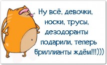 Смешной кот с текстом о подарках и бриллиантах