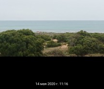 Морской пейзаж с зелеными кустами на переднем плане