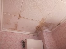 Потолок с пятнами плесени и повреждениями — CostaSpain.net Потолок с пятнами плесени и повреждениями