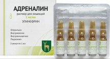 Ампулы с раствором адреналина для инъекций