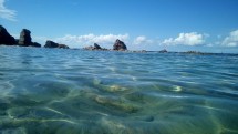 Playa de Arnia