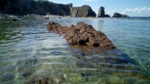 Playa de Arnia