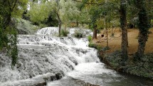 Поток воды с каскадами среди зелёных деревьев