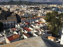 Вид на город с крыши, много домов и зелени