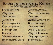 Эльфийские имена для котов на старинном фоне