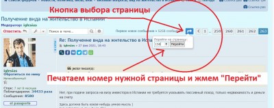 Инструкция по навигации на форуме, выбор страницы