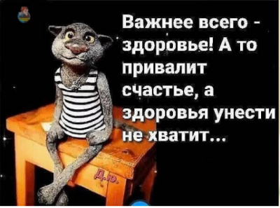 Кот в полосатой майке сидит на столе с текстом о здоровье — CostaSpain.net Кот в полосатой майке сидит на столе с текстом о здоровье