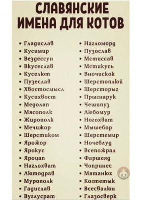 Список славянских имен для котов