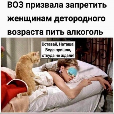 Женщина спит, кот её будит и говорит