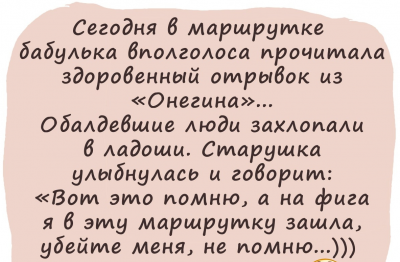 Бабушка читает отрывок из «Онегина» в маршрутке