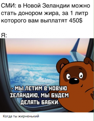 Мем о донорстве жира в Новой Зеландии и медведе