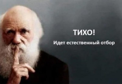 Старший мужчина с белой бородой и жестом тишины