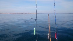 Рыболовные удочки на фоне спокойного моря и дельфинов