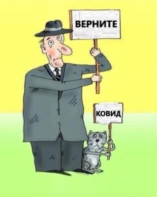 Мужчина и кот с плакатами на фоне желтого фона