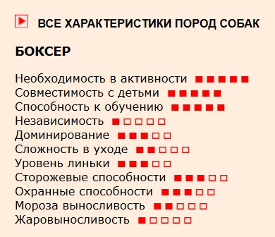 Характеристики собаки породы боксер — CostaSpain.net Характеристики собаки породы боксер