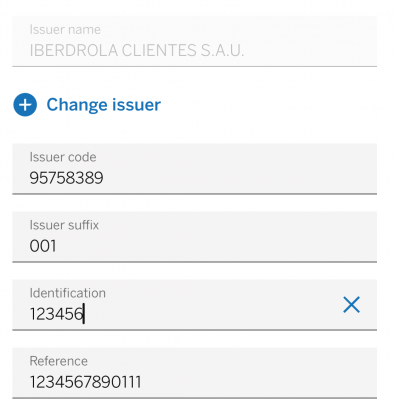 Форма для ввода данных об эмитенте и идентификации — CostaSpain.net Форма для ввода данных об эмитенте и идентификации