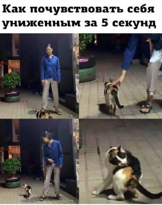 Женщина стоит рядом с кошкой, которая уходит в Испании